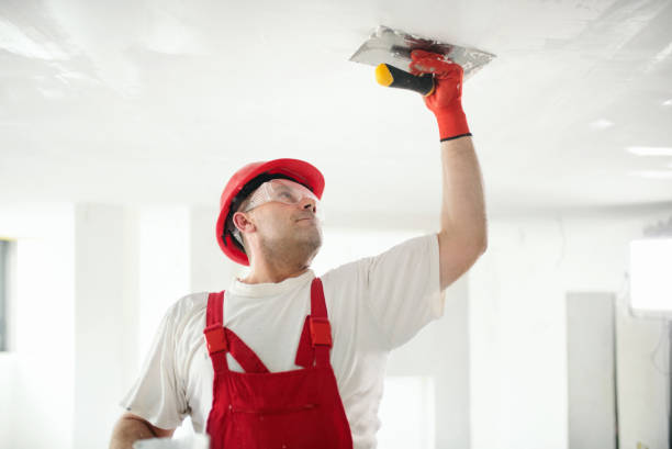 Best Drywall Finishing  in Platteville, WI