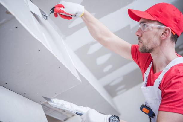 Best Remodeling Drywall  in Platteville, WI